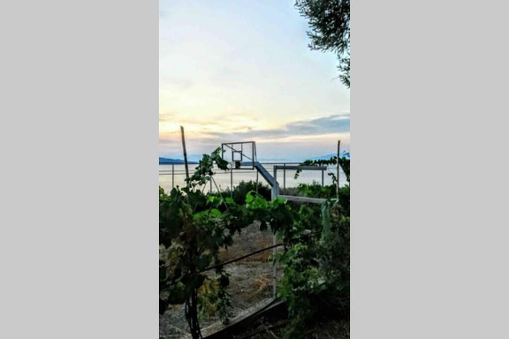 Secluded House With Great View And Private Beach Theologos  Exterior photo